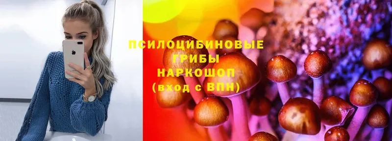 Псилоцибиновые грибы MAGIC MUSHROOMS  Оханск 